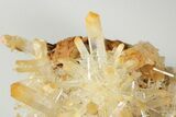 Stunning, Mango Quartz Crystal Cluster - Cabiche, Colombia #188379-2